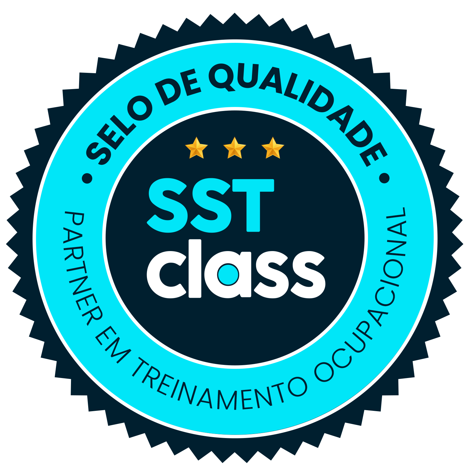SST Partner